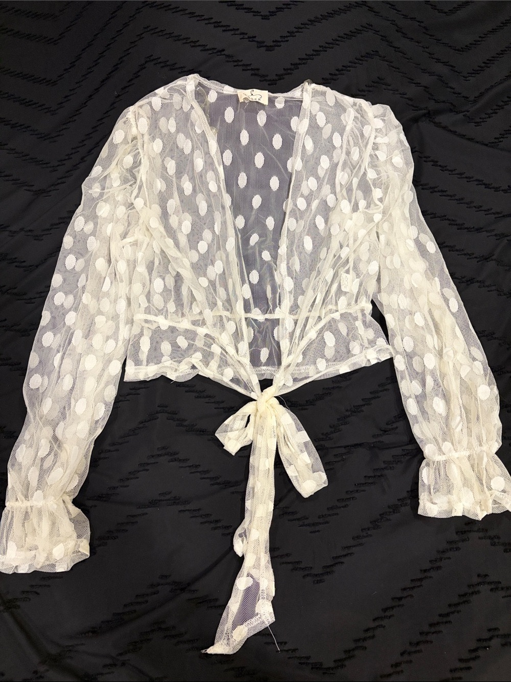 Sheer Polka-Dot Tie Front Blouse in Ivory